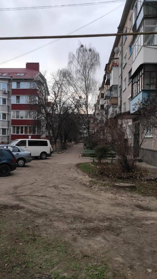 2-Х Комнатная Квартира 科罗斯坚 外观 照片